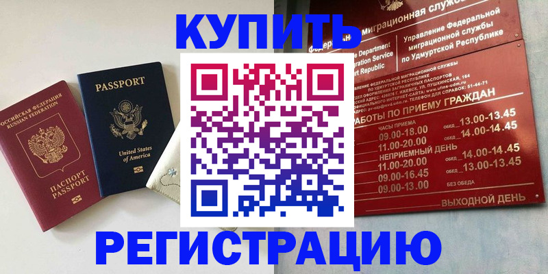 прописка поиск в Коле