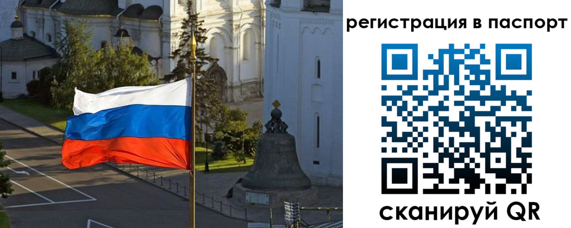 где прописаться в Коле