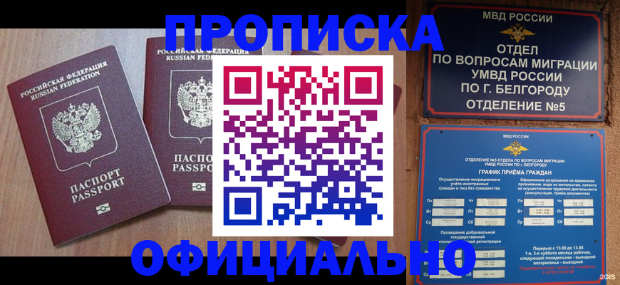 найти адрес прописки в Коле