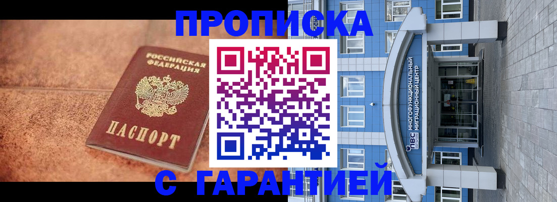 где прописаться в Коле